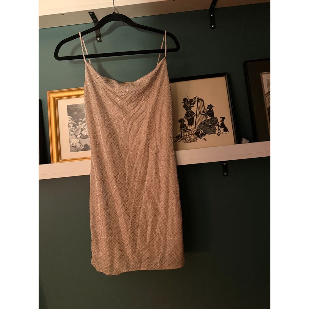 NWOT Glitter Cowl Neck Dress by Hallelu